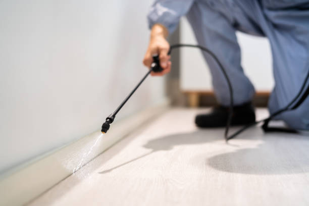 Licensed Termite Control service in Brewer, ME - Nex Pest Control