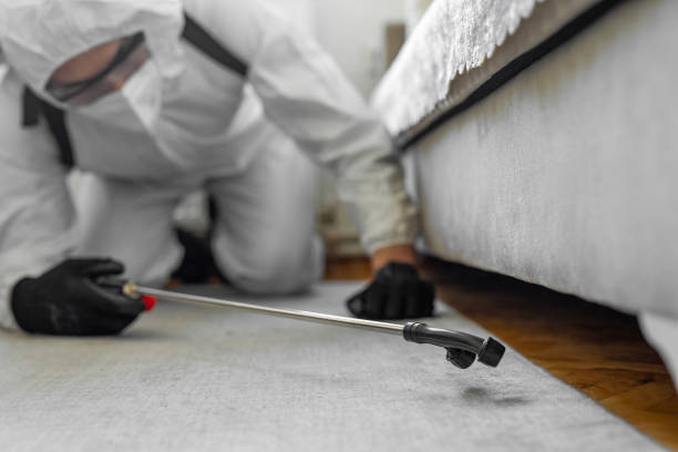 Professional Termite Control technician working in Brewer, ME