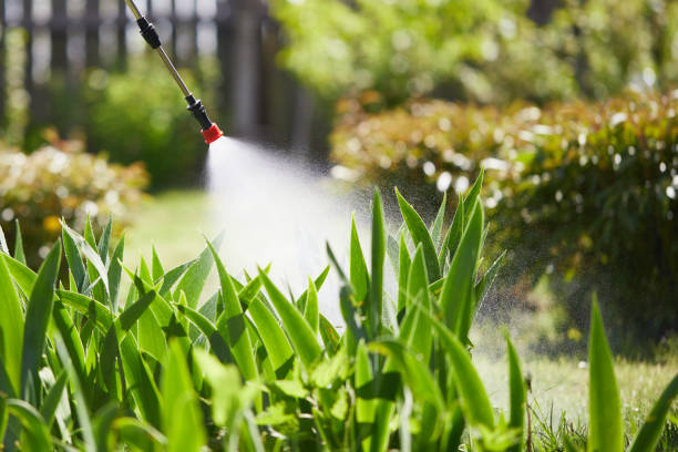 24/7 Emergency Termite Control experts in Brewer, ME