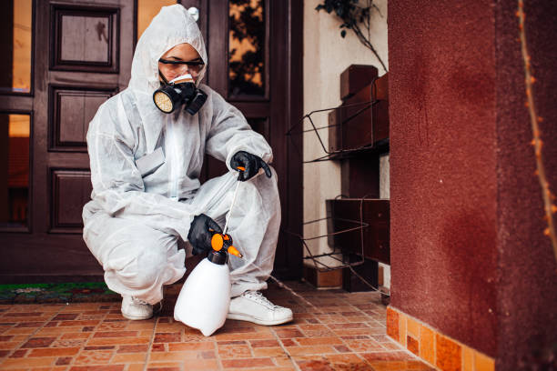 Reliable Termite Control contractor in Brewer, ME by Nex Pest Control