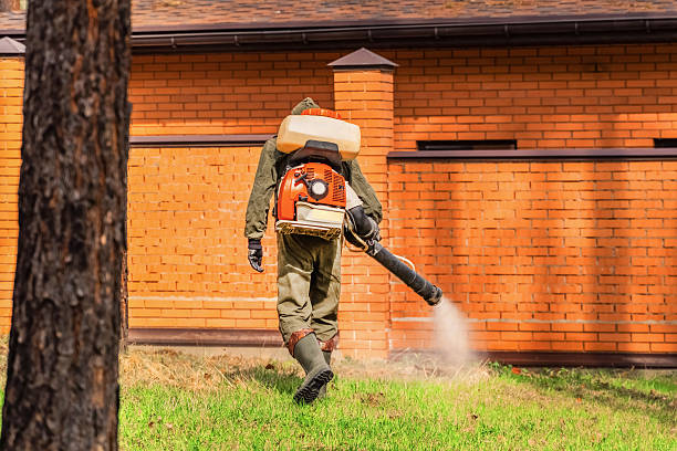 Top rated local Termite Control specialists in Brewer, ME
